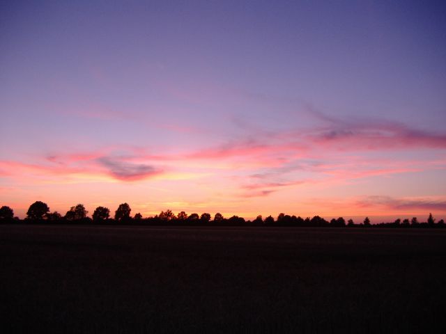 Die Heide